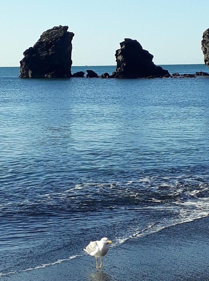 T2 Plage De La Conque Агде Екстериор снимка
